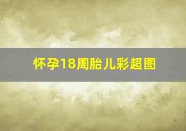 怀孕18周胎儿彩超图