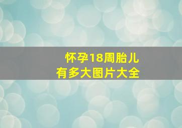 怀孕18周胎儿有多大图片大全