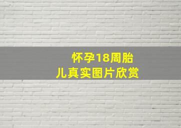 怀孕18周胎儿真实图片欣赏