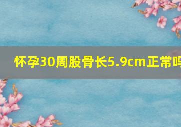 怀孕30周股骨长5.9cm正常吗