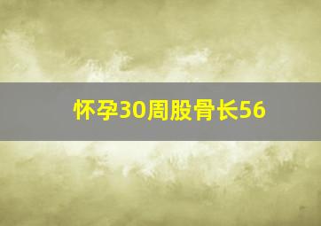 怀孕30周股骨长56