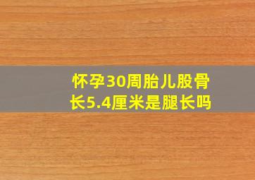 怀孕30周胎儿股骨长5.4厘米是腿长吗