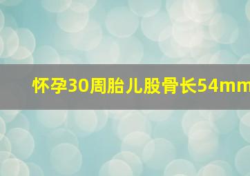 怀孕30周胎儿股骨长54mm