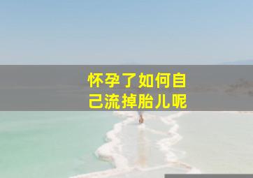 怀孕了如何自己流掉胎儿呢