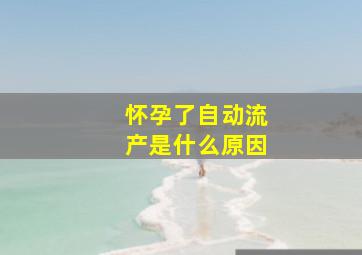 怀孕了自动流产是什么原因