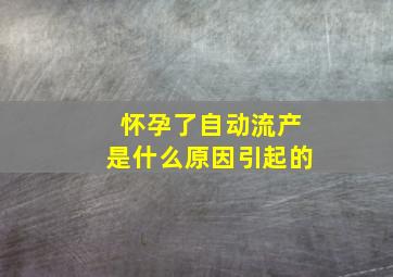 怀孕了自动流产是什么原因引起的