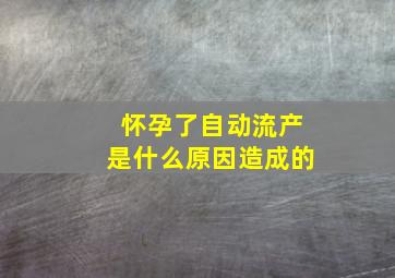 怀孕了自动流产是什么原因造成的