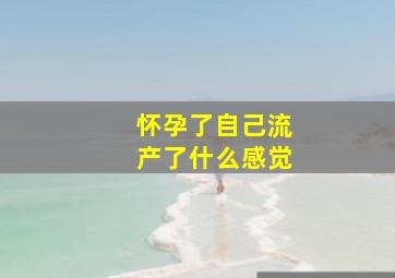 怀孕了自己流产了什么感觉