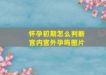 怀孕初期怎么判断宫内宫外孕吗图片