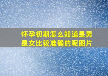 怀孕初期怎么知道是男是女比较准确的呢图片