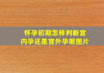 怀孕初期怎样判断宫内孕还是宫外孕呢图片