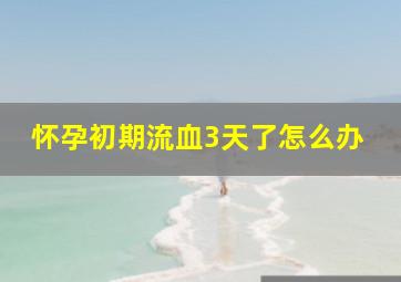 怀孕初期流血3天了怎么办