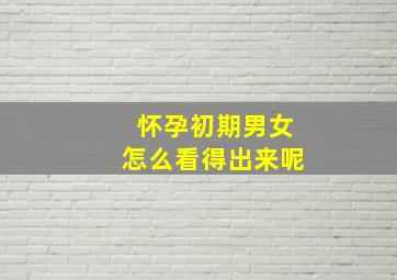 怀孕初期男女怎么看得出来呢