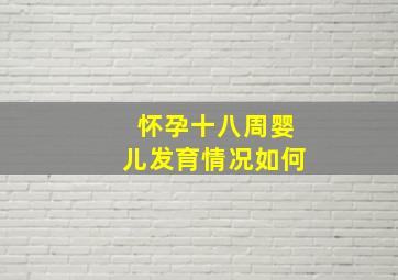 怀孕十八周婴儿发育情况如何