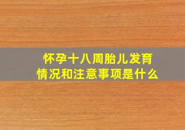 怀孕十八周胎儿发育情况和注意事项是什么