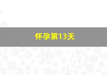 怀孕第13天