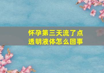 怀孕第三天流了点透明液体怎么回事