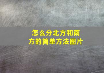 怎么分北方和南方的简单方法图片