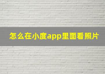 怎么在小度app里面看照片