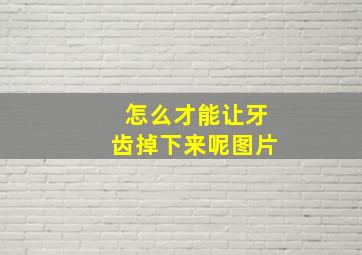 怎么才能让牙齿掉下来呢图片