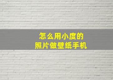 怎么用小度的照片做壁纸手机