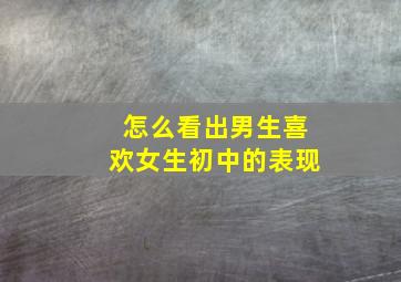 怎么看出男生喜欢女生初中的表现