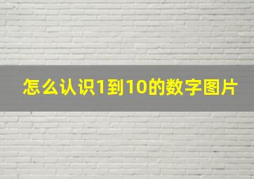 怎么认识1到10的数字图片