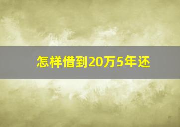 怎样借到20万5年还