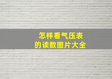 怎样看气压表的读数图片大全