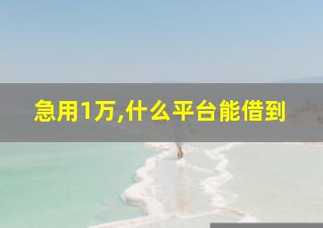 急用1万,什么平台能借到