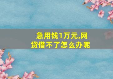 急用钱1万元,网贷借不了怎么办呢