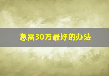 急需30万最好的办法