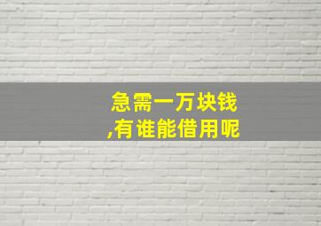 急需一万块钱,有谁能借用呢