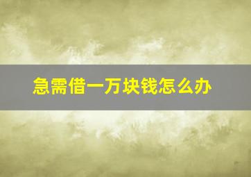 急需借一万块钱怎么办