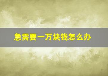 急需要一万块钱怎么办