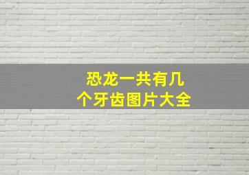 恐龙一共有几个牙齿图片大全