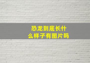 恐龙到底长什么样子有图片吗