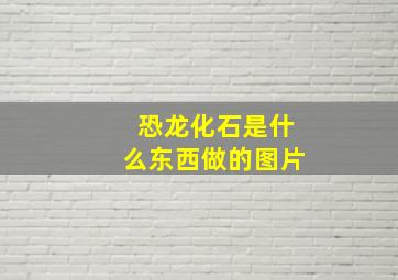 恐龙化石是什么东西做的图片