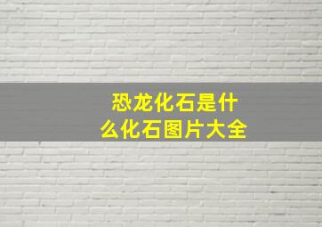 恐龙化石是什么化石图片大全