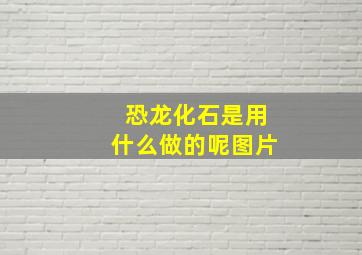 恐龙化石是用什么做的呢图片