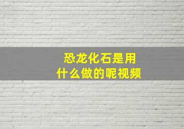 恐龙化石是用什么做的呢视频