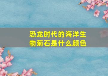 恐龙时代的海洋生物菊石是什么颜色