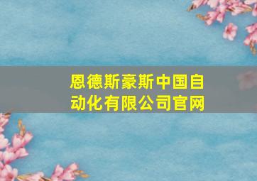 恩德斯豪斯中国自动化有限公司官网