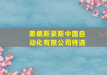 恩德斯豪斯中国自动化有限公司待遇