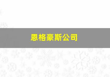 恩格豪斯公司