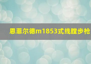 恩菲尔德m1853式线膛步枪