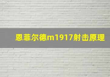 恩菲尔德m1917射击原理