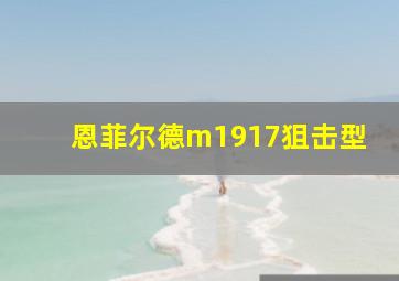 恩菲尔德m1917狙击型