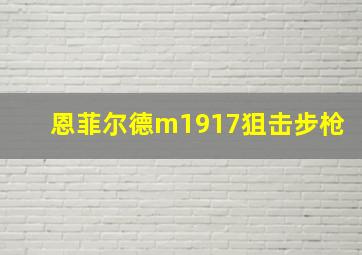 恩菲尔德m1917狙击步枪