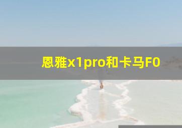 恩雅x1pro和卡马F0